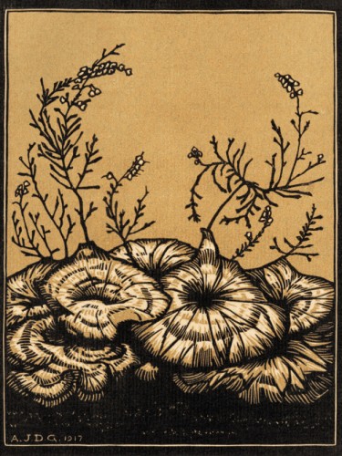 Blossoming plants