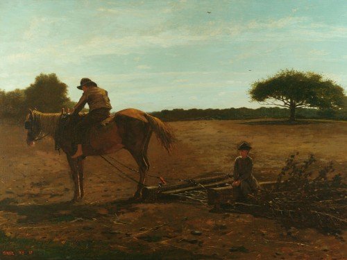 The Brush Harrow