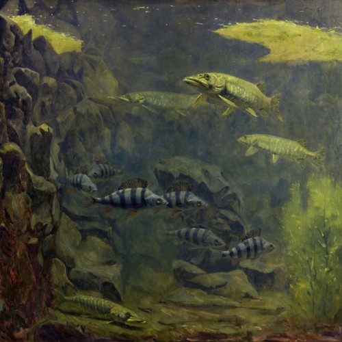 Pike and Perch