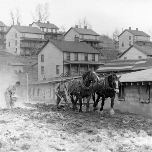 Coal Strike