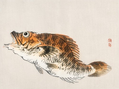 Muskellunge