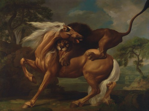 A Lion Attacking a Horse