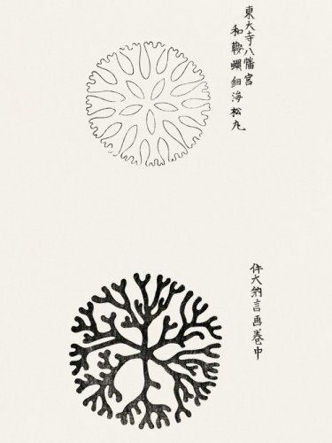Yatsuo no Tsubaki