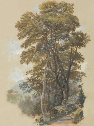 Corpo di Cava, 28 June 1838