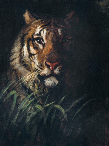 Tiger's Head