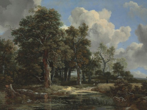 Edge of a Forest with a Grainfield