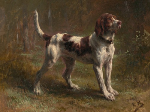 A Limier Briquet Hound