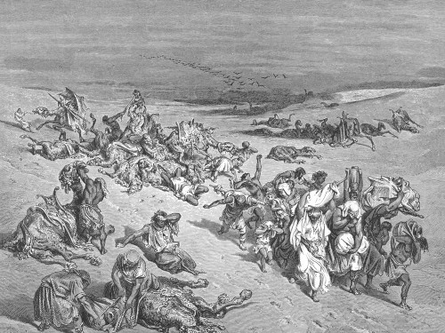 033. The Fifth Plague. Livestock Disease