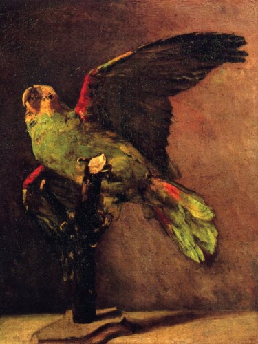 Зеленый попугай, 1886