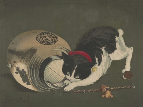 Cat with lantern