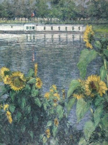Sunflowers along the Seine
