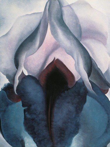 Black Iris III