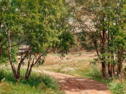 Birches In Summer
