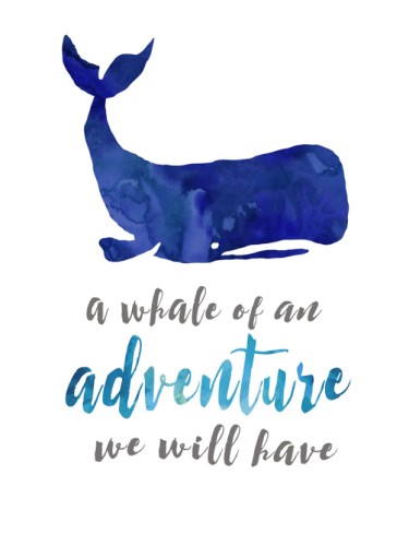 A Whale of an Adventure