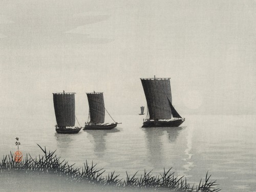 Fishing boats