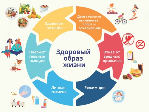 Здоровый образ жизни