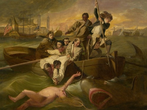 Watson and the Shark