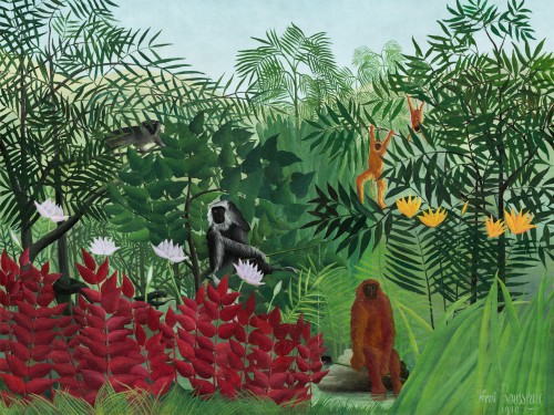 Tropical Forest with Monkeys
