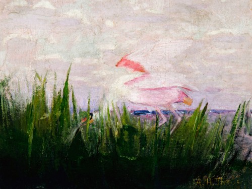 Roseate Spoonbill