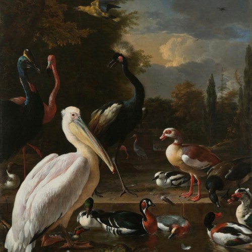 A Pelican and Other Birds near a Pool