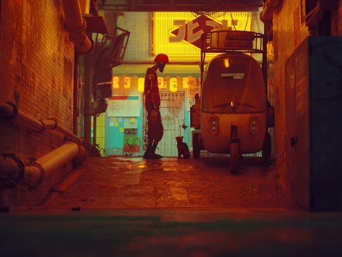 Stray