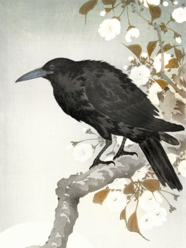 A crow and the full moon