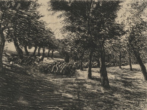 Herd of Sheep Under Trees