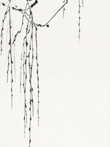 Tree branches