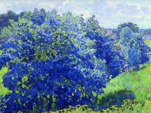 The Blue Bush