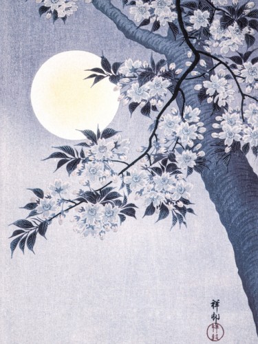 Blossoming Cherry on a Moonlit Night