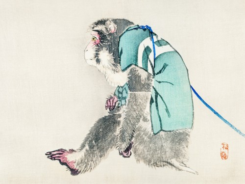 Monkey