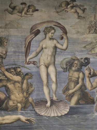 The birth of Venus