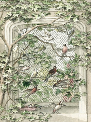 Aviary with fourteen birds