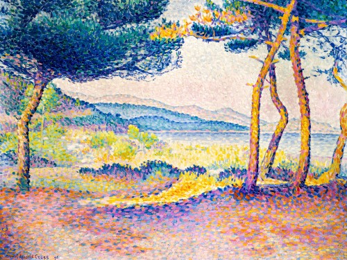 Pines Along the Shore