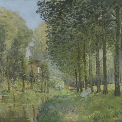 Rest along the Stream. Edge of the Wood