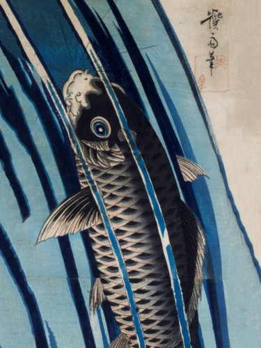 Carp