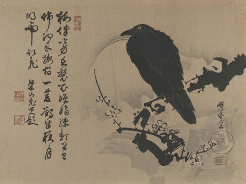 Crow on a plum branch