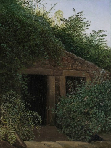 An Overgrown Mineshaft