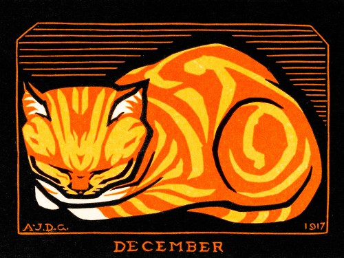 December Cat