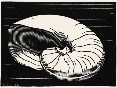 Shell, 1921