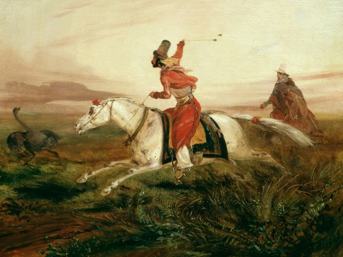 Hunting Ostriches