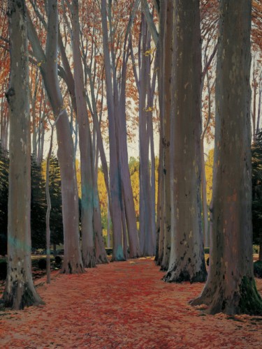 Avenue of Plane Trees