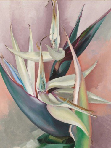 White Bird of Paradise