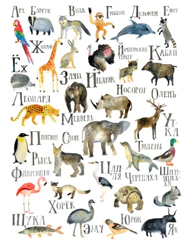 Алфавит