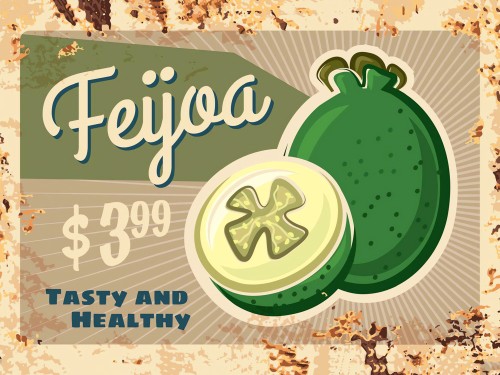 Feijoa