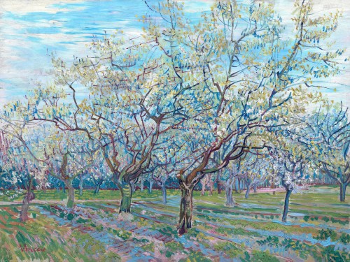 Цветущий фруктовый сад, 1888