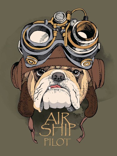 Air Ship Pilot