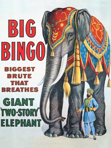 Big Bingo Giant two-story elephant