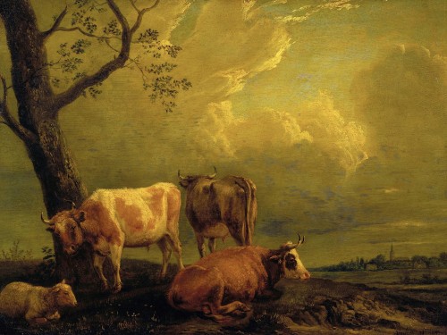 Cattle and Sheep
