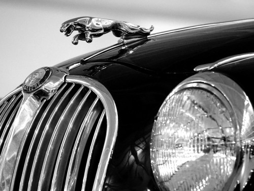 Jaguar
